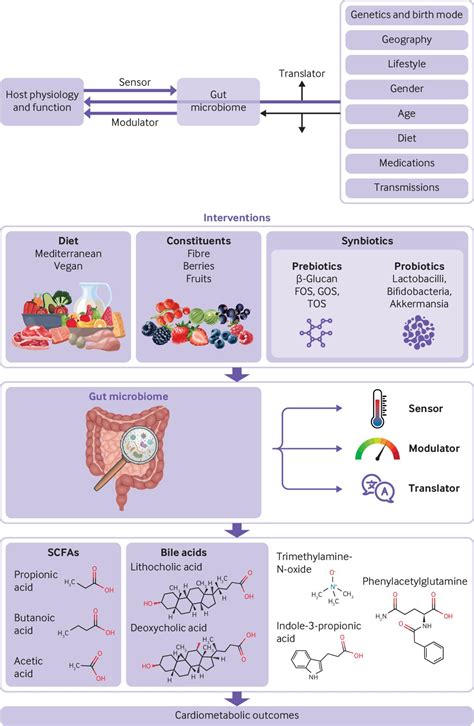 Evidence For Clinical Interventions Targeting The Gut Microbiome In