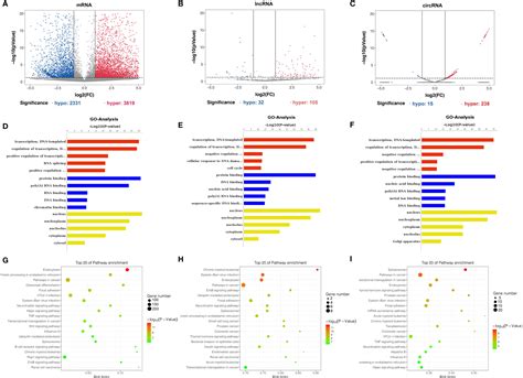 Frontiers Transcriptome Wide Map Of N6 Methyladenosine Methylome