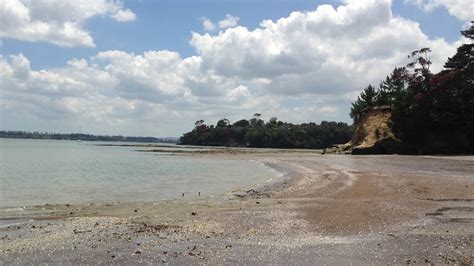 Beautiful New Zealand Beach Haven It May Not Look Much But Wow What