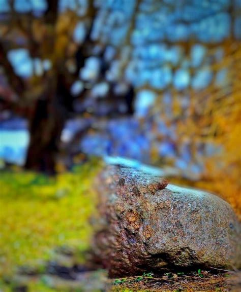 background  photo myweb