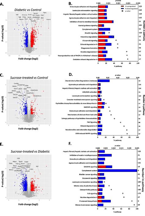 Ingenuity Pathway Analysis Revealed Differences In Overrepresented