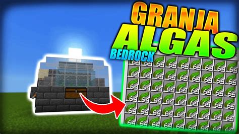 COMO HACER Una GRANJA De ALGAS En MINECRAFT BEDROCK YouTube