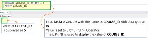 Sql Variables Sql Server Declare Set And Select Variable