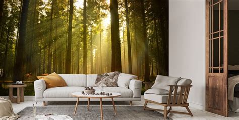 Beautiful Forest Wallpaper | Wallsauce UK