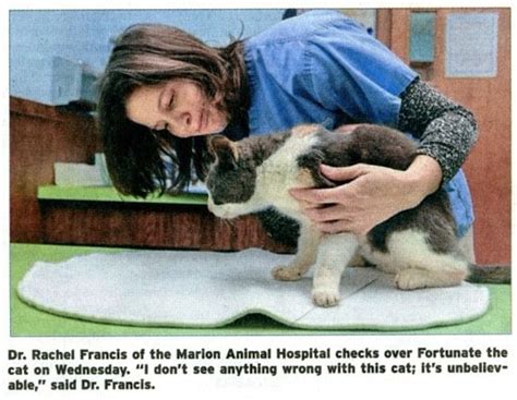 MARION ANIMAL HOSPITAL - Updated January 2025 - 16 Photos & Average of ...