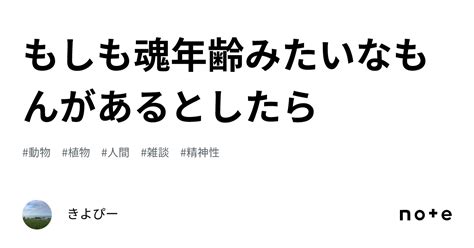 もしも魂年齢みたいなもんがあるとしたら｜きよぴー