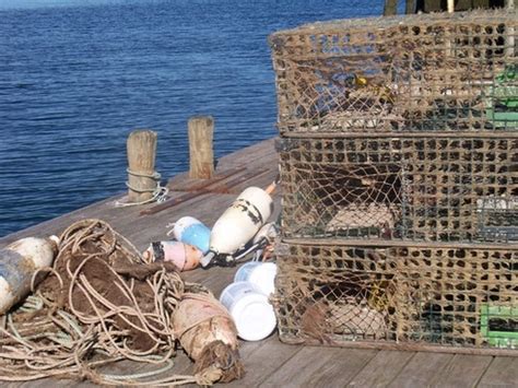 Lobster Traps Free Stock Photos In Jpeg X Format For