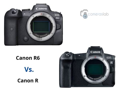 Canon R6 vs R - See Why Canon R6 is the Best Mirrorless Camera!