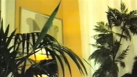 Classic Gierig Geil Und Nimmersatt Porn F XHamster