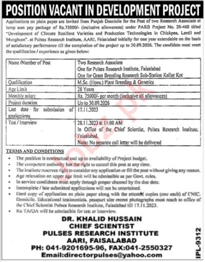 Pulses Research Institute Faisalabad Jobs 2023 2024 Job Advertisement