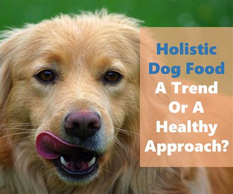 Holistic Dog Food: A Trend or A Healthy Approach To Feeding Your Dog?