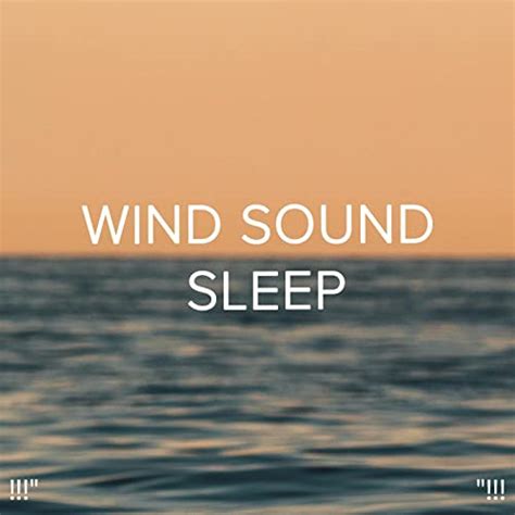 Amazon Musicでdeep Sleep Sleep Sound Library And Bodyhiの Wind Sound