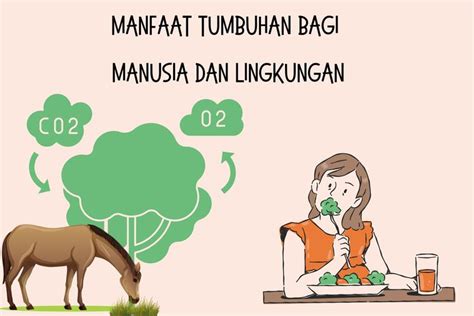 Manfaat Tumbuhan Bagi Manusia Dan Lingkungan Homecare