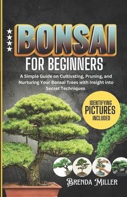 Bonsai for beginners: A Simple Guide on Cultivating, Pruning and Nurturing Your Bonsai Trees ...