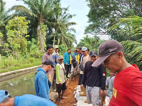 Warga Tiga Desa Di Seluma Inisiatif Gotong Royong Perbaiki Tanggul Jebol