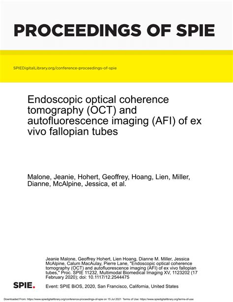 Pdf Endoscopic Optical Coherence Tomography Oct And