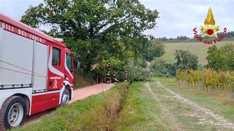 Maltempo In Provincia Tra Alberi Caduti E Terreno Instabile Vigili Del