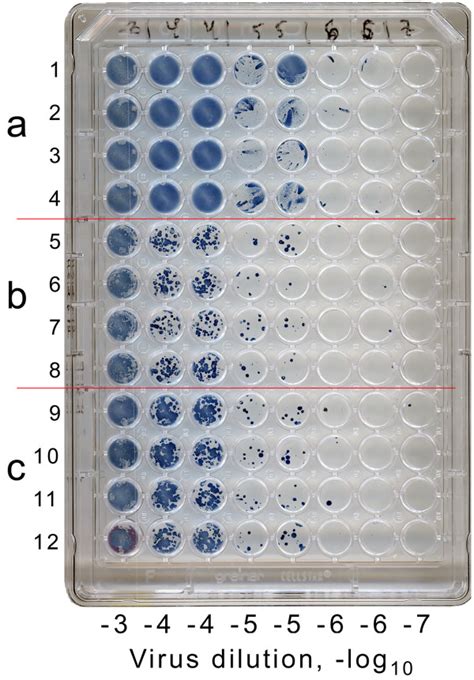 Three Different Assay Variants A C In 96 Well Plate Either 12 Or 24