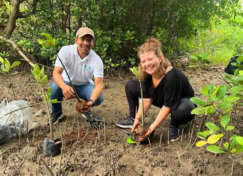 Environmental Conservation Volunteer Program In Thailand Hua Hin Ivhq