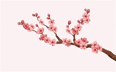 Premium Vector Watercolor Cherry Blossom Vector Cherry Blossom Branch With Sakura Flower