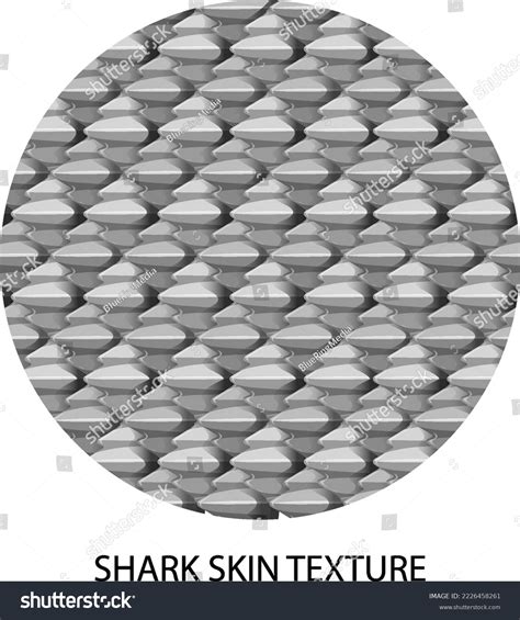 Shark Skin Texture Text Illustration Stock Vector (Royalty Free ...