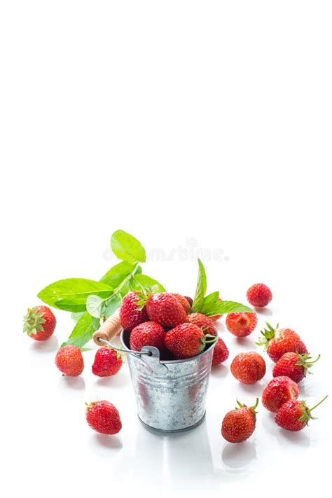 Fresas Naturales Maduras Rojas Aisladas Sobre Fondo Blanco Imagen De