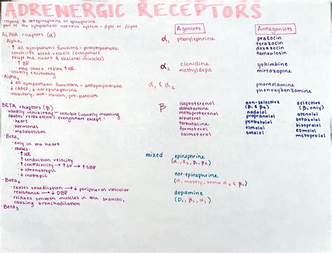 Adrenergic Receptors Nursing Notes Etsy