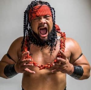 Jacob Fatu S Wwe Debut At Backlash Reason Explored Bio Career