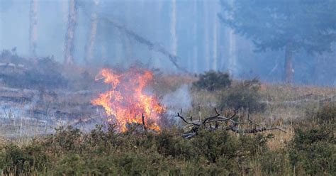 Increased Humidity Helps In Battle Against Williams Fork Fire In Grand County Cbs Colorado