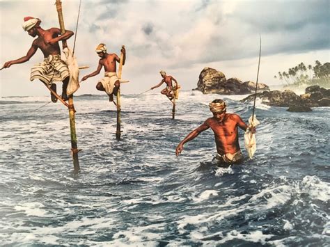 Steve McCurry Stilt Fishermen 1995 Sri Lanka Catawiki