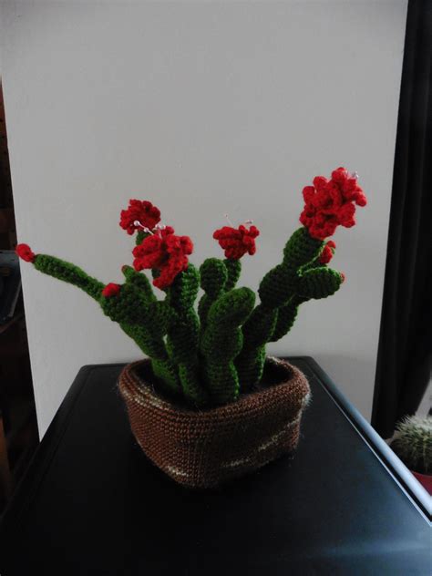 Christmas Cactus Amigurumi Pattern June Gilbankplanetjune