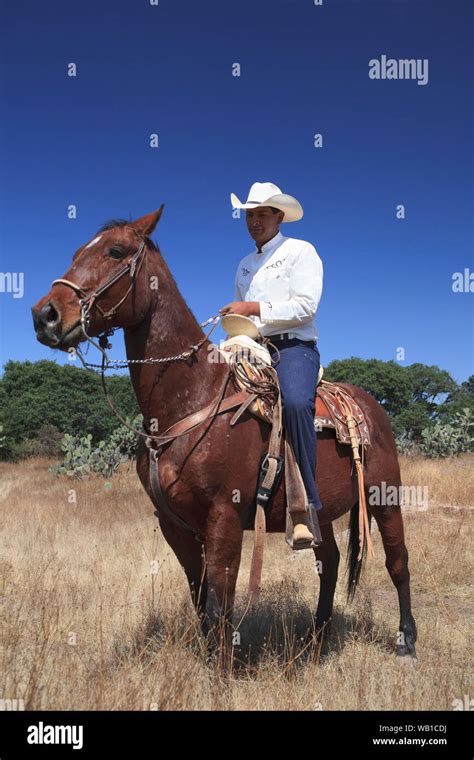 A Mexican cowboy riding his horse around a ranch in rural Mexico Stock ...