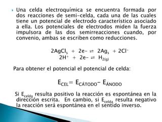 Potenciales De Electrodos PPT