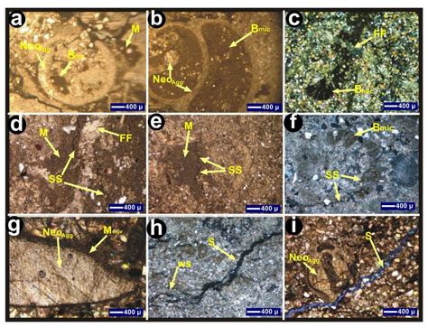 Photomicrographs Showing Diagenetic Features Of The Chhidru Formation