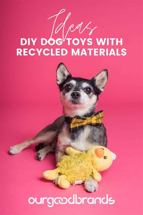 5 DIY dog toys ideas made out of recycled old materials | Ourgoodbrands