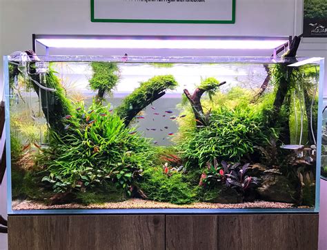 Aquascape In Store Gallery All Products Available To Buy From Our