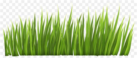 Grass Border Clipart Png Img Primrose