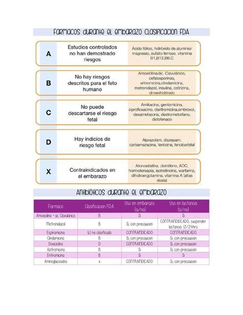F Rmacos Durante El Embarazo Embarazo F Rmacos Medicina Udocz 148840