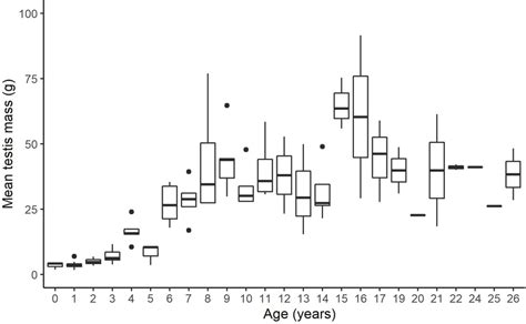 Testis Mass As An Indication Of The Onset Of Sexual Maturity In Male Download Scientific