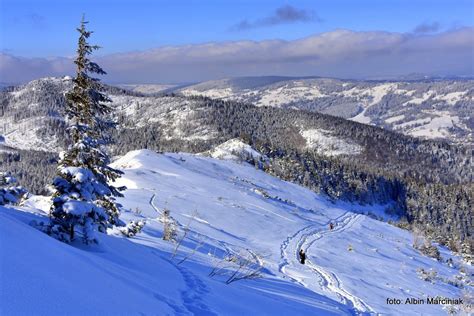 Tatry Szlak Zimowy Z Ku Nic Do Doliny G Sienicowej