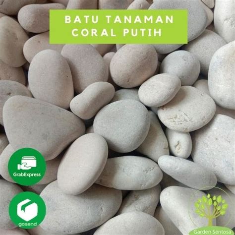 Jual Batu Tabur Hias Tanaman Batu Coral Putih Isi 1 Kg Shopee Indonesia