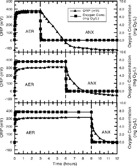 Typical Orp And Dissolved Oxygen Profiles In The Cyclic Chemostat For