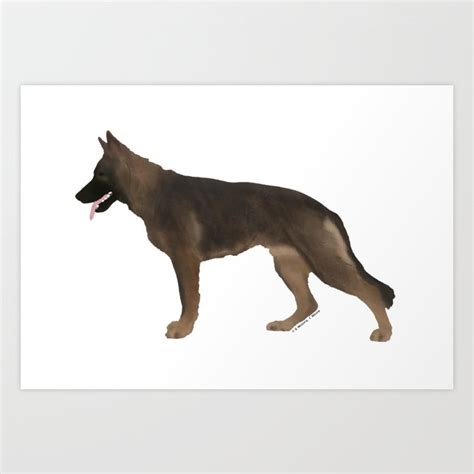 German Shepherd: Red Sable Art Print by 2woofs1meow | Society6