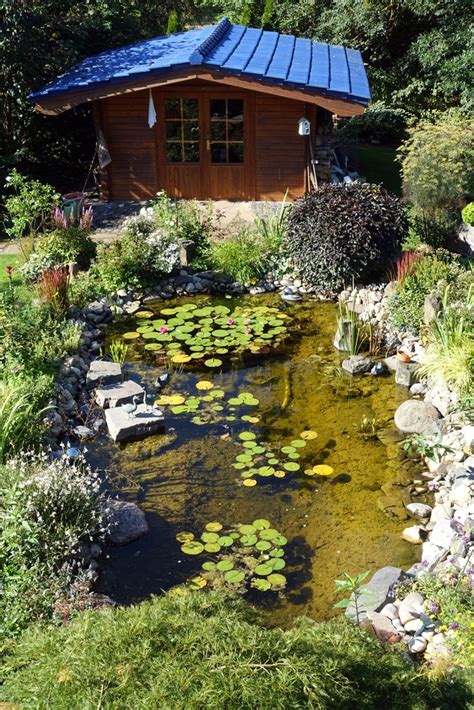 Création De Bassin De Jardin Et Biotopes Chappuis Paysagiste