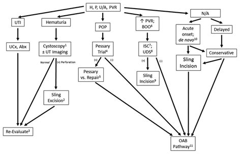 Evaluation And Treatment Algorithm For Women With Postoperative Uuui