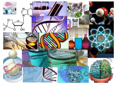 Aplicaciones De La Quimica En La Vida Diaria Nueva Aplicaci N Hot Sex Picture