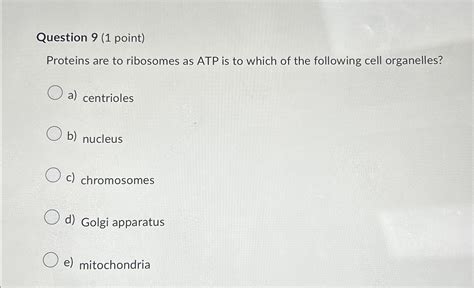 Solved Question Point Proteins Are To Ribosomes As Atp Chegg