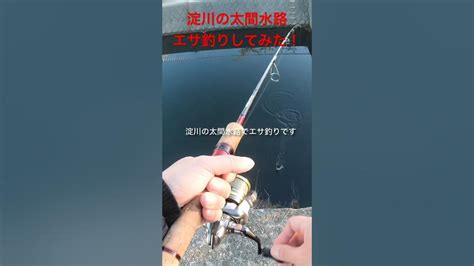 淀川の太間エリアにある水路でミミズを使ってエサ釣りをしてみたらあの魚が簡単に釣れました！！shorts Fishingバス釣り 淀川