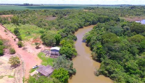 Dia Mundial do Meio Ambiente Sebrae Minas investe em ações de