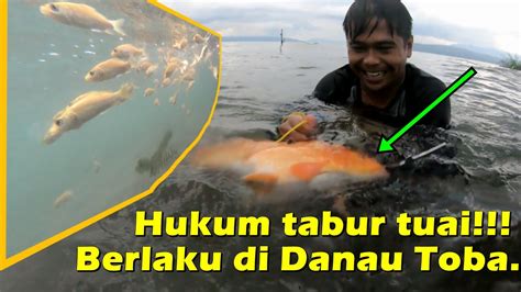 Menabur Benih Ikan Mas Di Spot Jurang Ngak Lama Langsung Dapat Dua